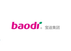 寶迪集團